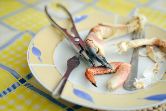 Yellow dinner plate with tasty lobster claw and cracker tool