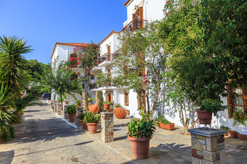 Fototapeta na wymiar Small alley, decorated with Mediterranean plants and flowers, in Ormos Marathokampos on the Greek island of Samos in the Aegean Sea