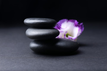 Fototapeta na wymiar Balanced pebbles with beautiful flower on dark grey background