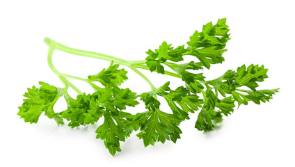 Fresh parsley isolated on white