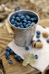 Bucket of ripe blueberry on cutting board on the ground