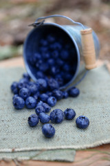 Bucket of ripe blueberry on cutting board on the ground