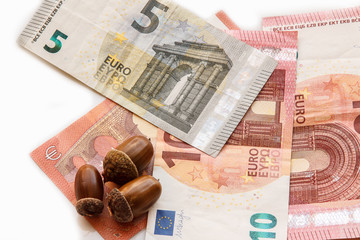 Acorn on Euro Note
