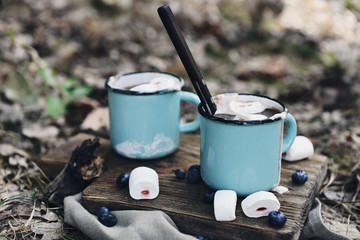 Cocoa with marshmallow in mugs on the ground