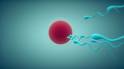 Spermatozoids competition (3D Illustration)