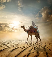 Foto auf Alu-Dibond Reise durch die Wüste © Givaga