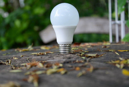 LED Bulb - Technology of eco-friendly lighting