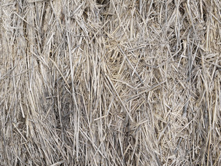 straw as textured background