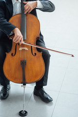 Professional cellist playing his instrument © stokkete