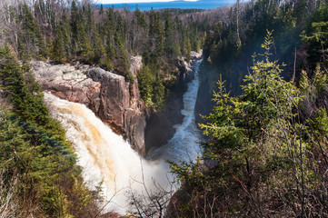 Fototapeta premium waterfalls and boreal forest, Kenora, Ontario