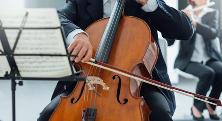 Classical orchestra performance, string section © stokkete