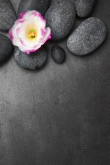 Fototapeta na wymiar Spa stones and flower on black background