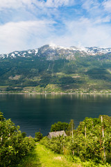 Obraz premium Landscape near Hardangerfjord in Norway