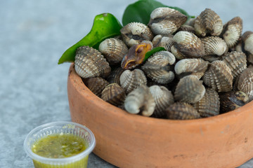 Scallop seafood and sauce