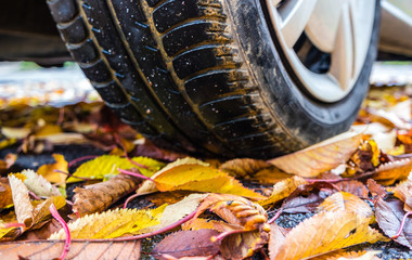 Gefahr im Herbst auf der Straße 