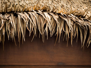 Thatch roof background