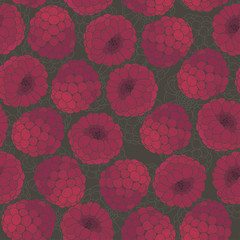 Raspberries  seamless pattern. Vector illustration