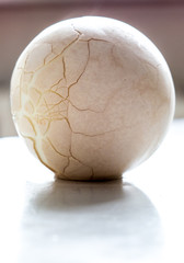 Сhicken egg.