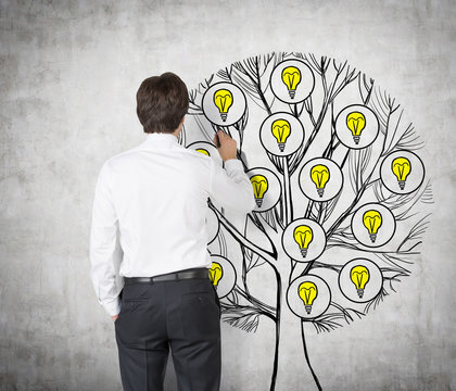 Rear view of young professional who is drawing a tree with light bulbs on the concrete wall. Light bulbs as a concept of new business ideas.