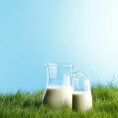 Milk jug and glass on grass field
