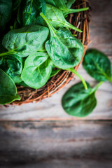 Fresh spinach on rustic wooden background