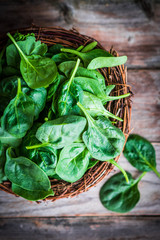 Fresh spinach on rustic wooden background
