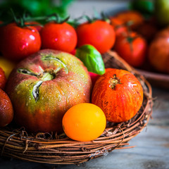 Multicolored tomatoes on rustic wooden background