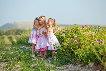 Three little girlfriends are playing in roses field