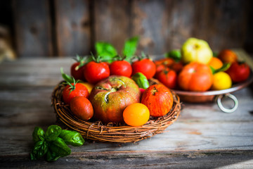 Multicolored tomatoes on rustic wooden background