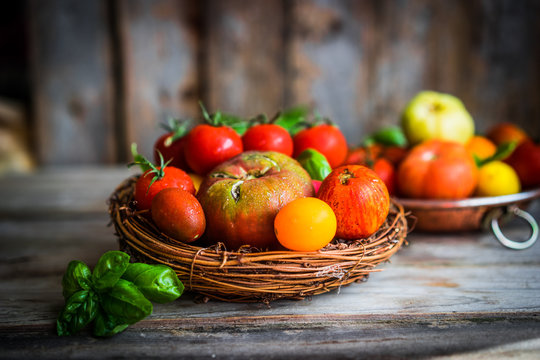 Multicolored tomatoes on rustic wooden background