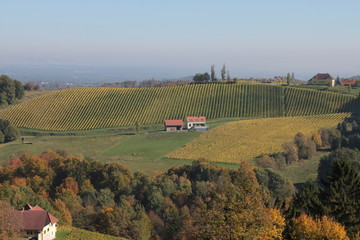Weingarten Sernauberg 2015 34