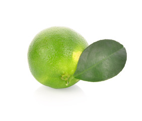 lime lemon and leaves on white background