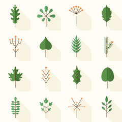 Cute icons of leaves in flat design style.