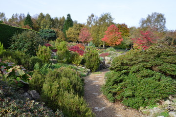 Fototapeta na wymiar An Autumn Rock garden in the county of kent 