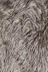 background fur