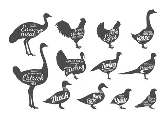 Poultry Silhouettes Collection, Butchery Labels Templates