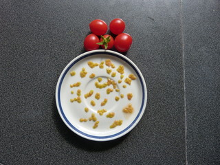Tomatensamen