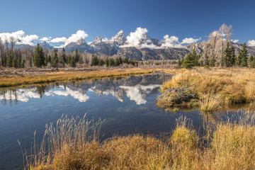 Fototapeta premium Grand Teton national park view