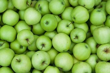 Heap of fresh green Granny Smith apples. Background image