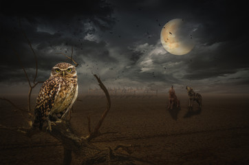 full moon