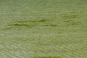 Transparent water texture for background