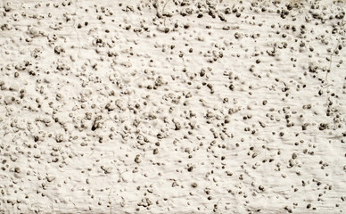 White decorative relief plaster on wall