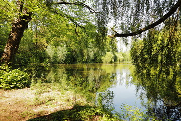 See im Sommer bei Sonnenschein