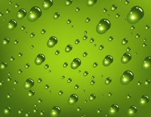 Water drops on green background