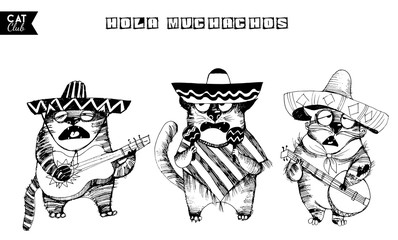 funny cat character Mexico
