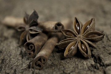 star anise and cinnamon sticks on a cork board