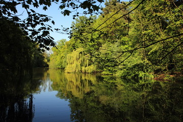 Still ruhender See im Sommer