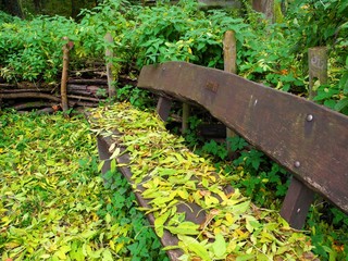 Herbstlaub auf der Holzbank