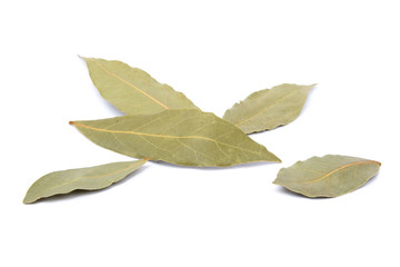 Obraz premium bay leaves