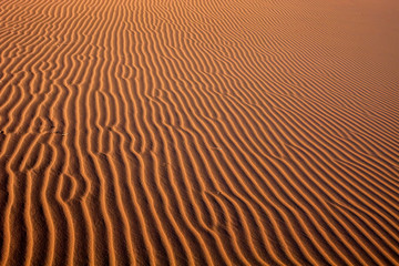  a sand dune Sossusvlei, Namibia